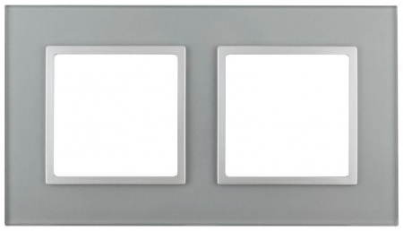 Рамка 2-м 14-5102-03 стекло Elegance алюминий+алюм ЭРА Б0034490 1232084
