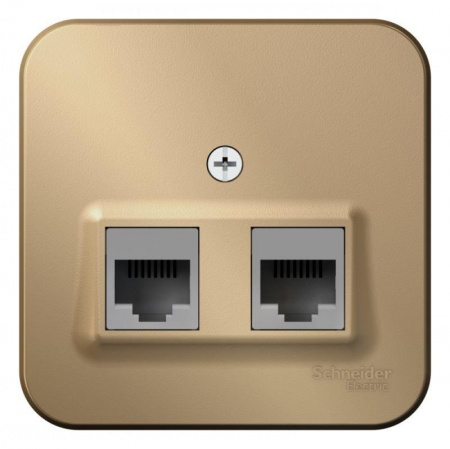 Розетка компьютерная 2-м ОП BLANCA RJ45 кат.5e изол. пласт. титан SchE BLNIA045454 1210606
