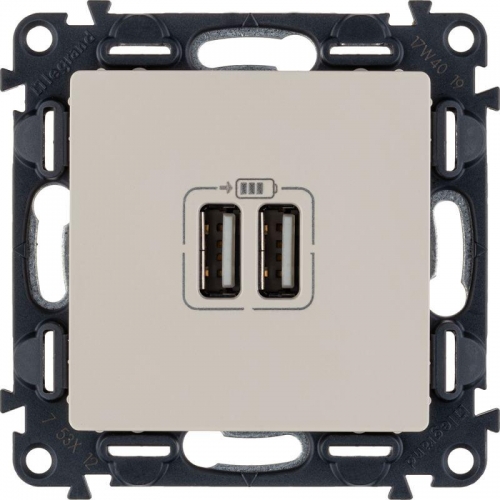 Механизм розетки USB 2-м Valena Life 240В/5В 1500мА с лицевой панелью сл. кость Leg 753512 414158