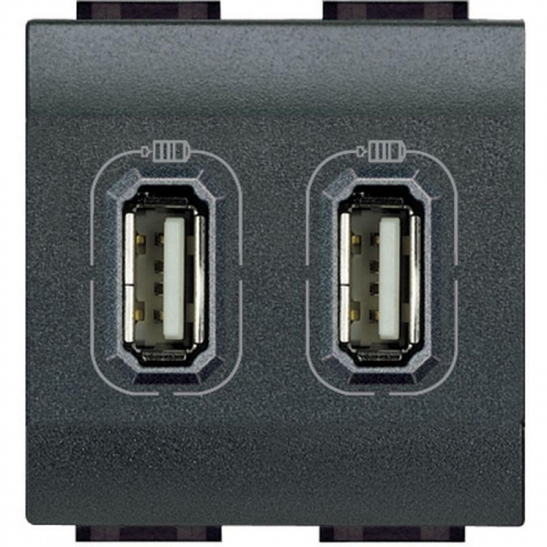 Разъем LL для зарядки 2хUSB антрацит Leg BTC L4285C2 294082