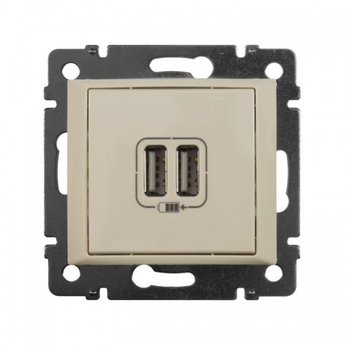 Розетка USB 2-м СП Valena сл. кость Leg 774170 299325