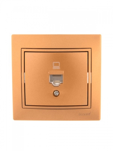 Розетка компьютерная 1-м СП Мира RJ45 метал. зол. Lezard 701-1313-139 200028