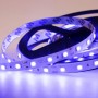Лента светодиодная SMD5050 60LED/м 14.4Вт/м 12В IP23 син. (уп.5м) NEON-NIGHT 141-463 250962